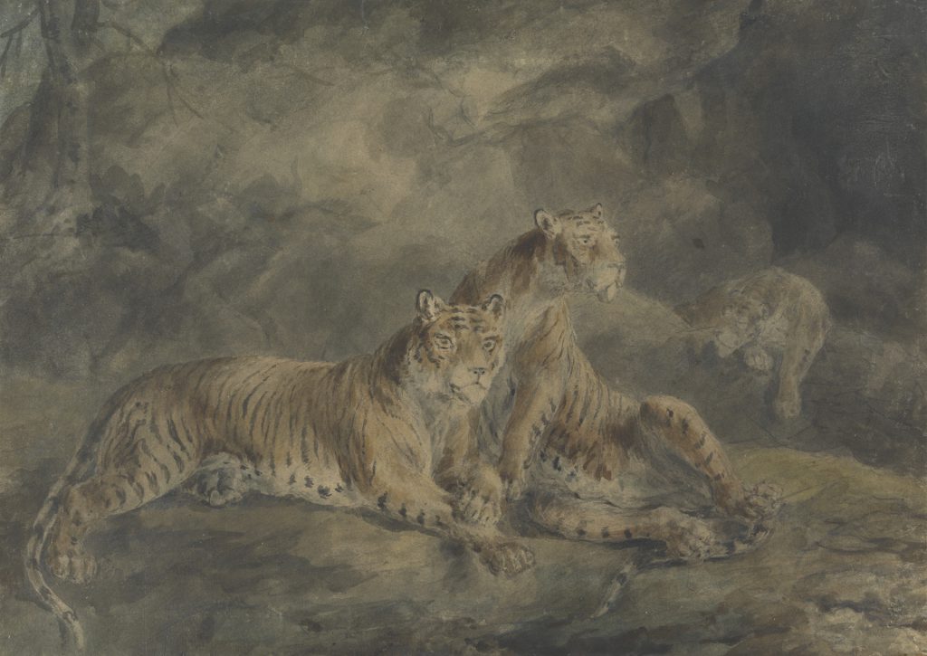 Sawrey Gilpin (1733–1807), Three Tigers in a Rocky Landscape