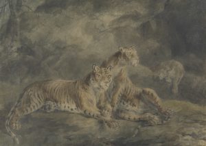 Sawrey Gilpin (1733–1807), Three Tigers in a Rocky Landscape