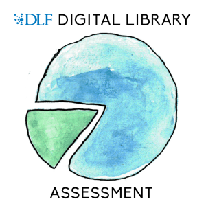 DLF Digital Library Assessment Group
