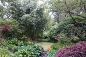 Finnerty Gardens, University of Victoria