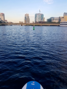 View of water from paddleboard