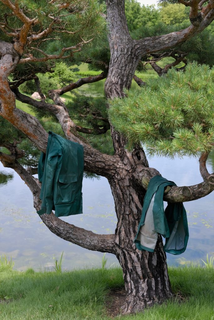 image of a tree in front of a creek, with green suit jackets draped on two of its branches