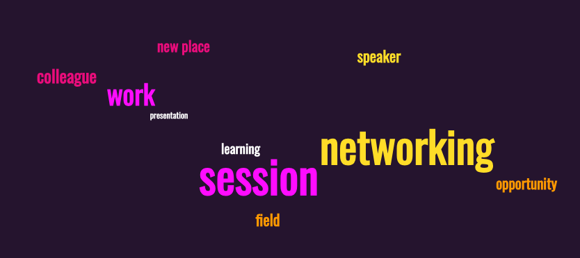 A word cloud showing 10 words in different colors, the biggest being "netowkring," "session" and "work."